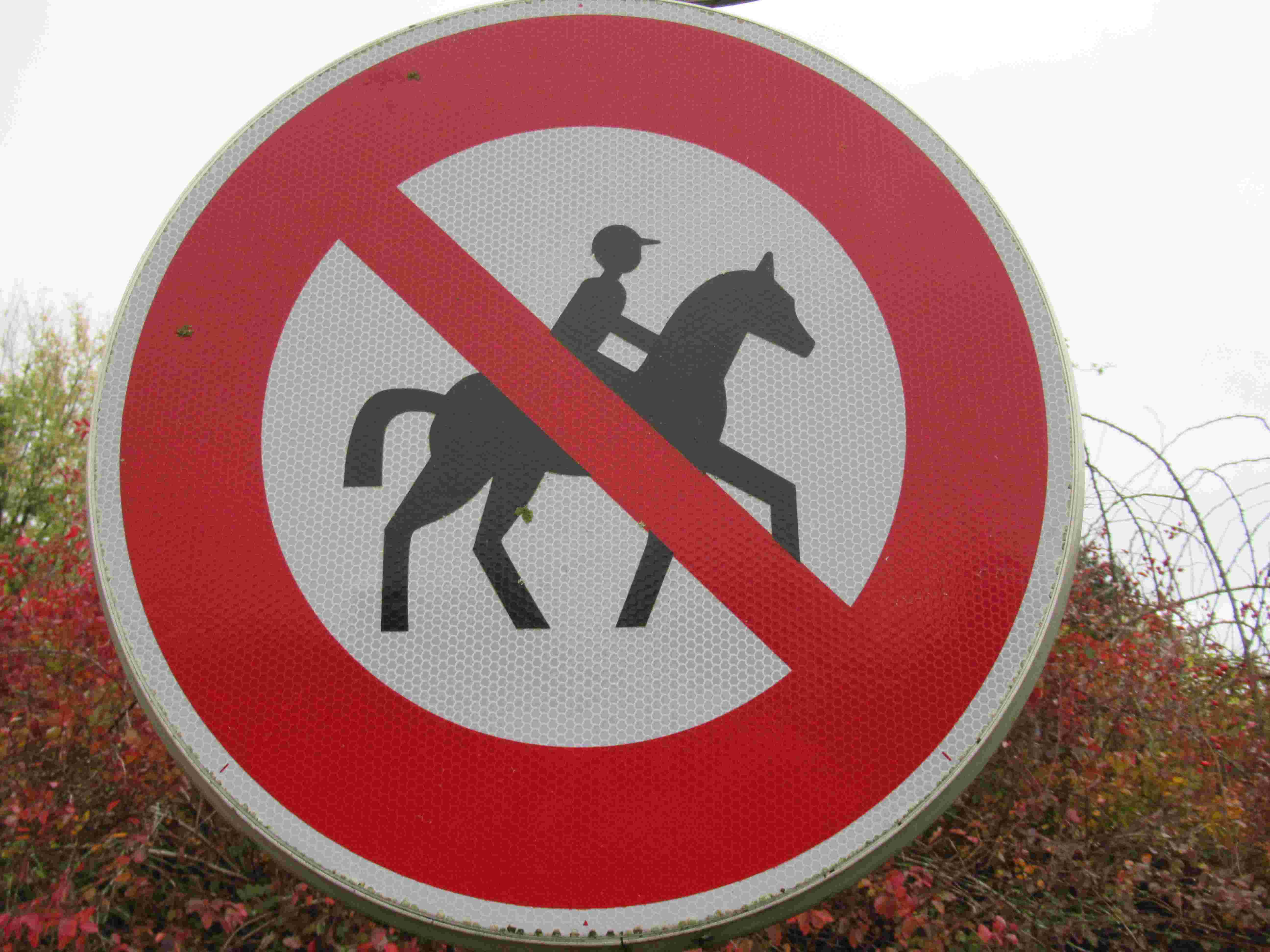 Signalétique : Panneau interdit aux chevaux