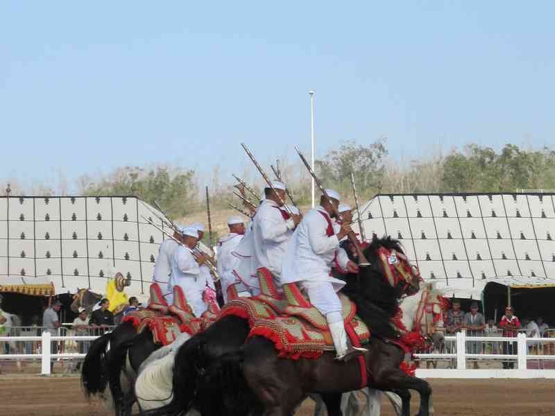 Démonstration de fantasia salon du cheval El Jadida