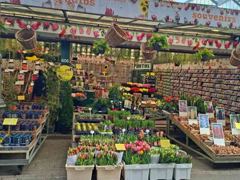 Marché aux fleurs d'Amsterdam, photo gratuite