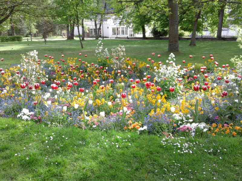 Parc fleuri, verdure