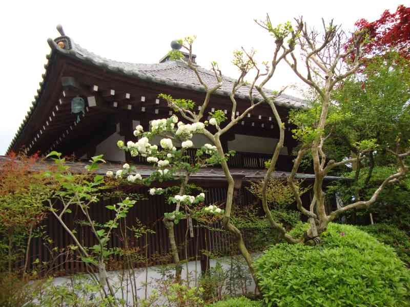 Maison traditionnelle du Japon entourée de verdure photo gratuite