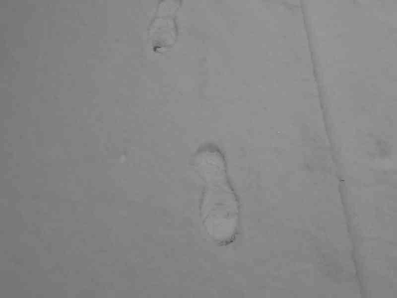 Traces de pas dans la neige