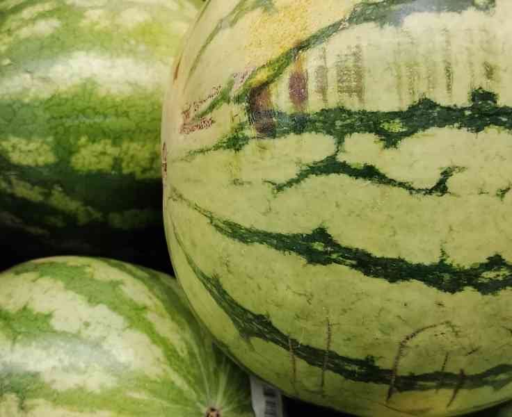 Pile de pastèques vertes, Montón de sandías verdes