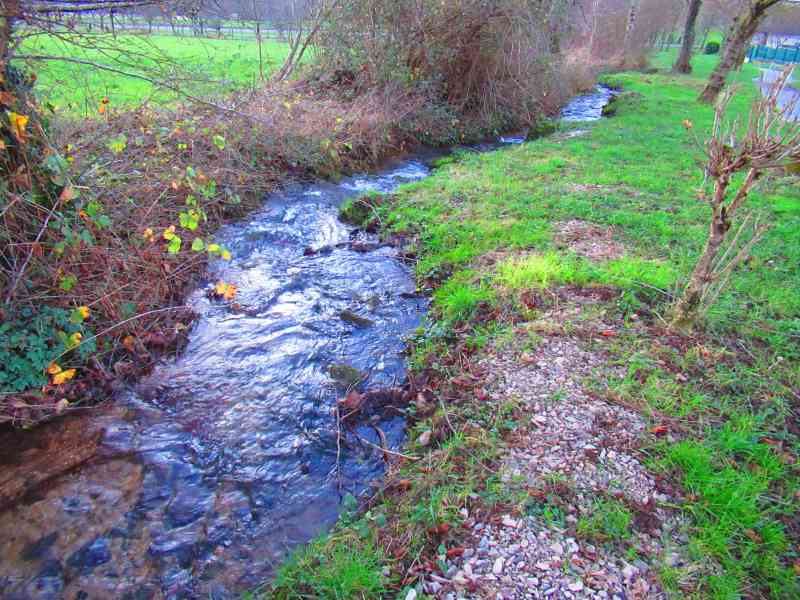 Ruisseau dans la campagne, rivière, verdure, nature - Bach auf dem Land, Fluss, Grün, Natur