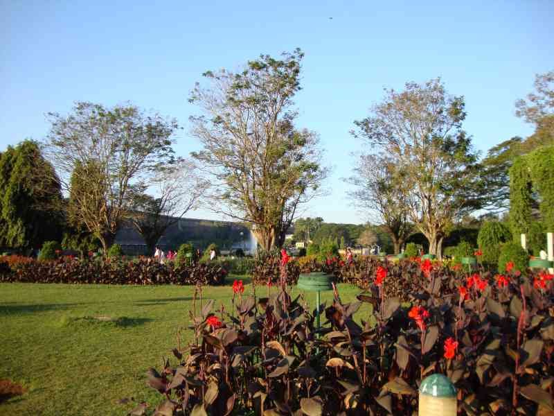 Un jardin caractérisé par une végétation luxuriante et des aménagements floraux, photo gratuite