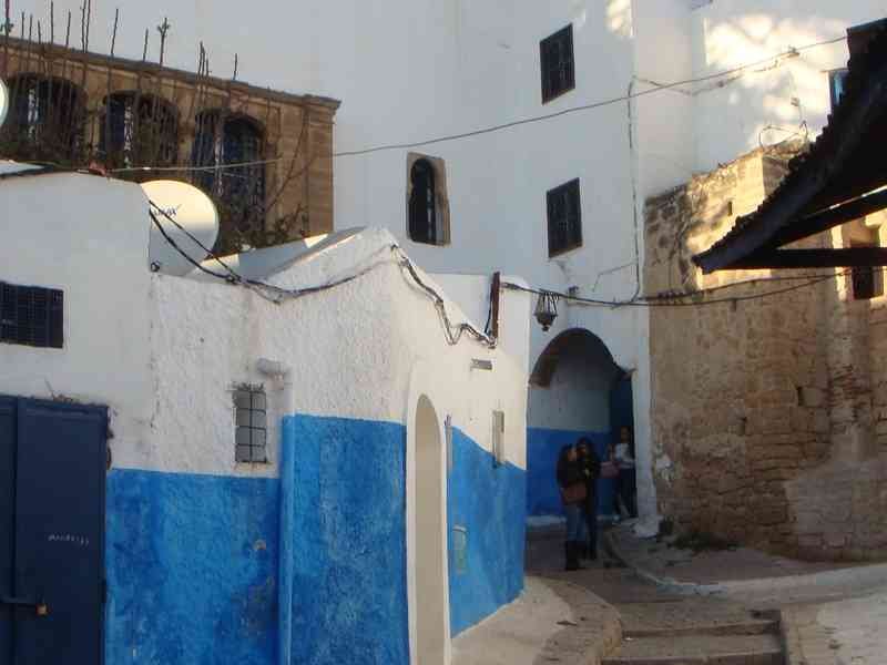 Une ruelle pavée étroite bordée de maisons blanches et bleues de la Kasbah des Oudayas photo gratuite