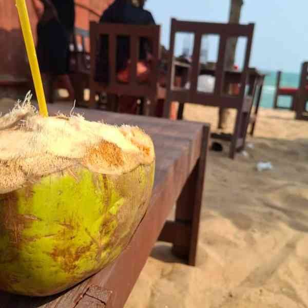 Noix de coco ouverte avec la paille, photo gratuite