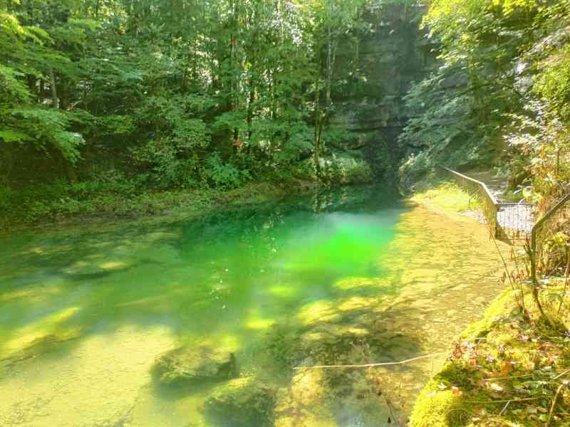 La source de l'Ain entourée d'une forêt, photo gratuite