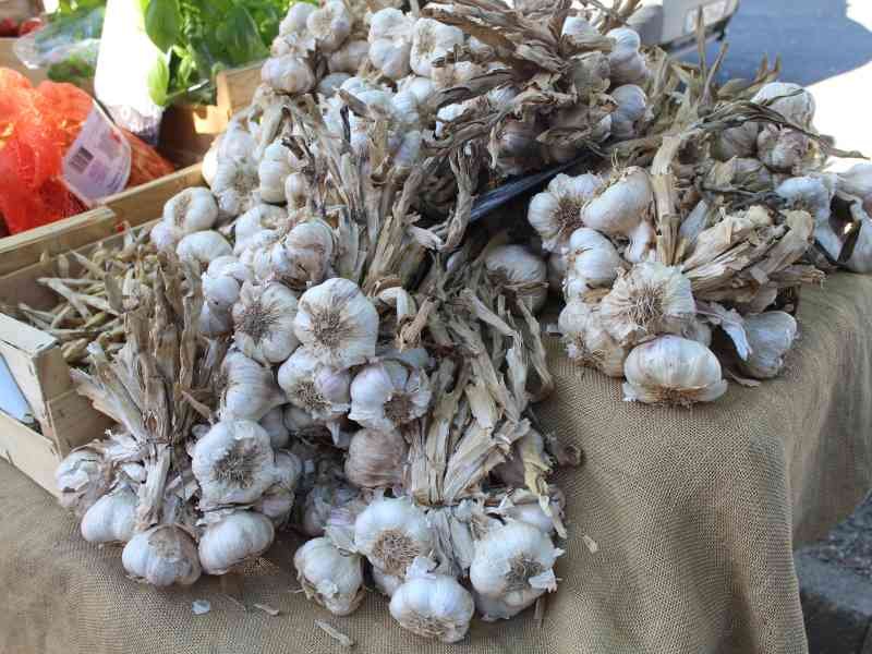 Des ails sur une table du marché, photo gratuite
