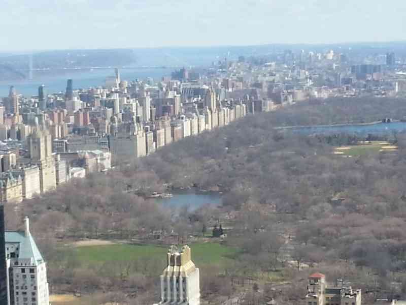 Vue aérienne de Central Park a New-York, États-Unis, photo gratuite