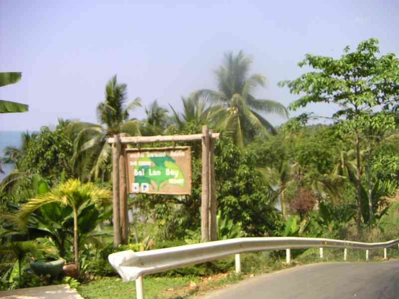 L'entrée de la baie de Bai Lan (Bai Lan Bay), située dans un environnement tropical avec de nombreux cocotiers, photo gratuite