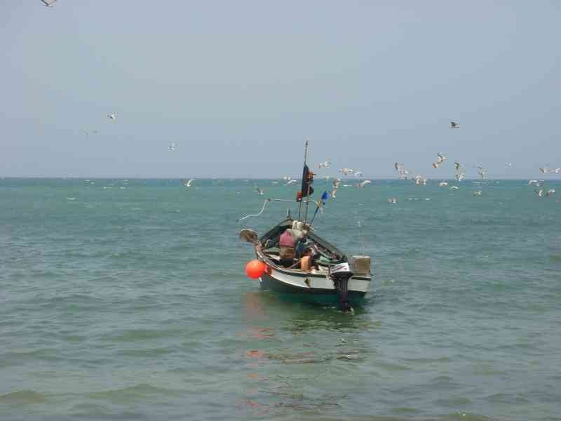 bateau de pêche en mer équipé de matériel de pêche et d’un moteur hors-bord photo gratuite