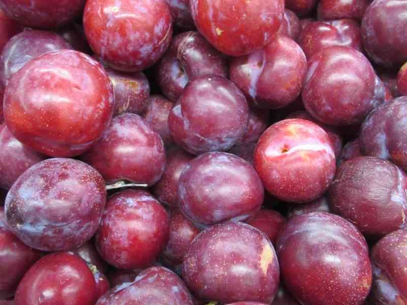 Prunes, photo gratuite