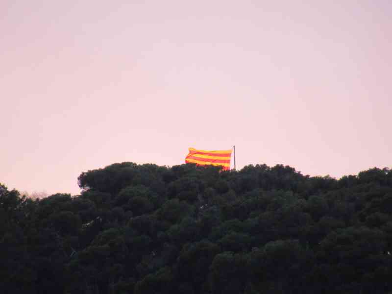 Drapeau de la Catalogne brandissant derrière les grands arbres photo gratuite - Flagge von Katalonien weht hinter hohen Bäumen, kostenloses Foto