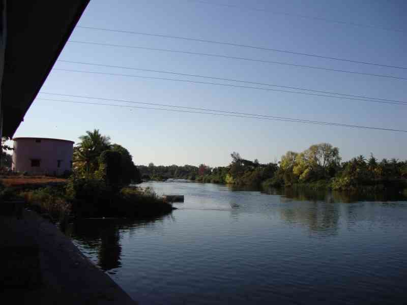 Un paysage avec un cours d'eau, une rivière, bordé de végétation et d'arbres, photo gratuite
