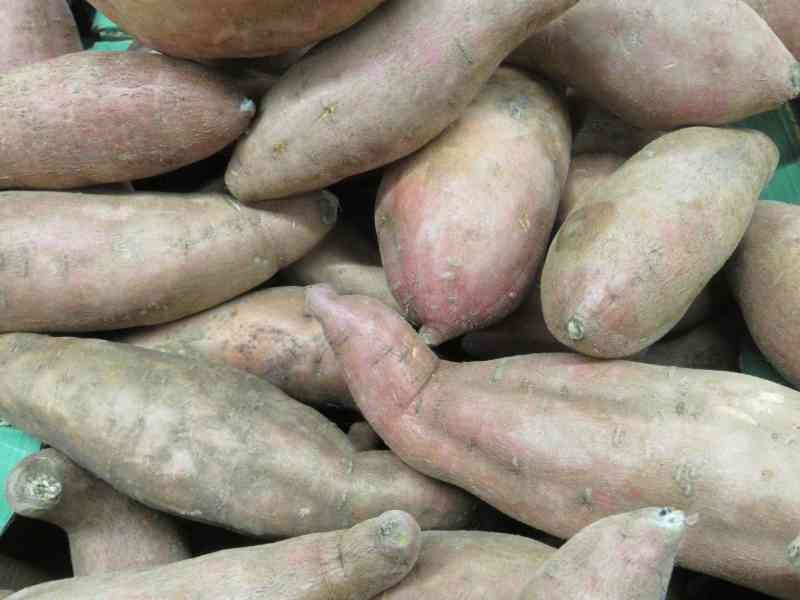 Patates douces, photo gratuite