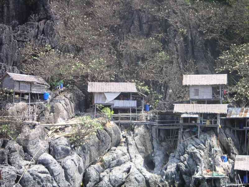 Des cabanes construites sur une falaise entourée de végétation, photo gratuite