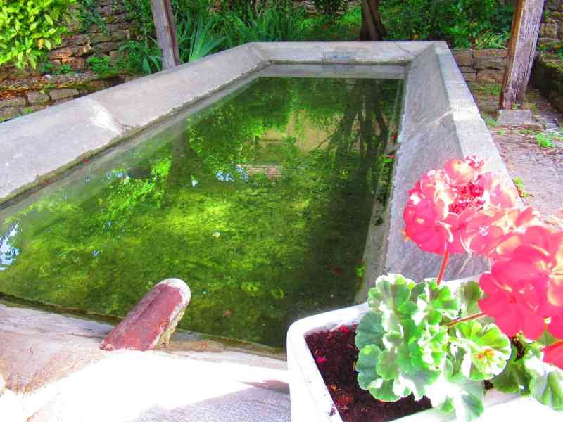 Un petit lavoir d'eau dans un jardin avec un pot de fleur, photo gratuite