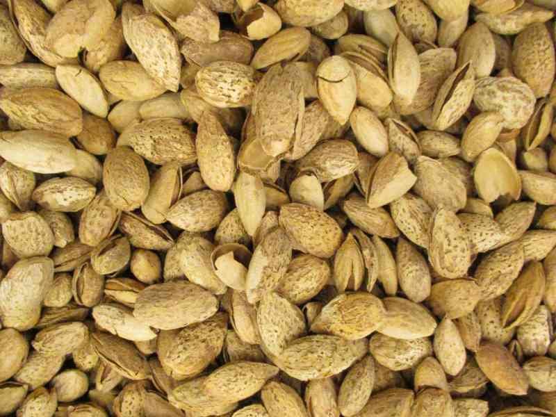 Amandes décortiquées