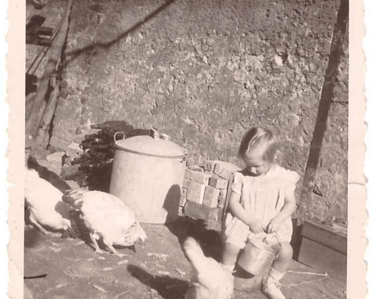 Photo gratuite d'Allemagne 1948 d'une petite fille nourrissant les poules