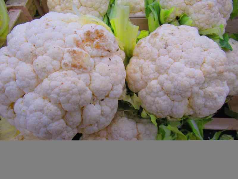 Choux fleurs blancs à vendre dans un marché photo gratuite