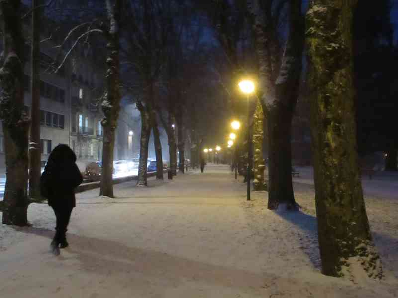 Parc en hiver éclairé la nuit