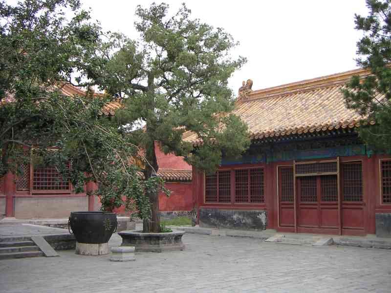 Arbre dans le temple chinois, palais dans la cité interdite, Asie photo gratuite