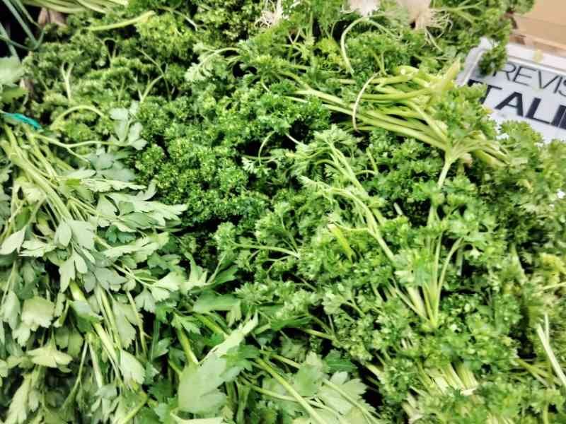 Persils et céleris verts