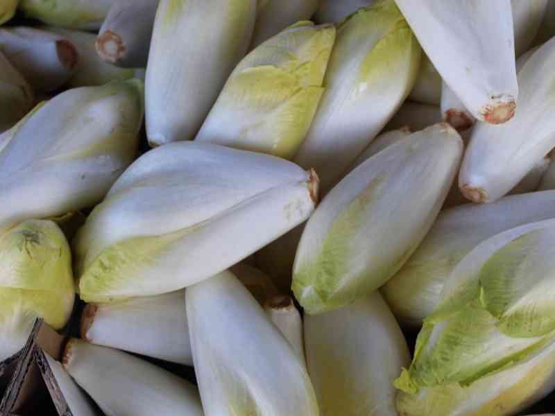 Des endives belges, des légumes, photo gratuite