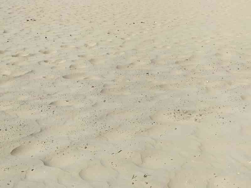 Plage de sable, photo gratuite