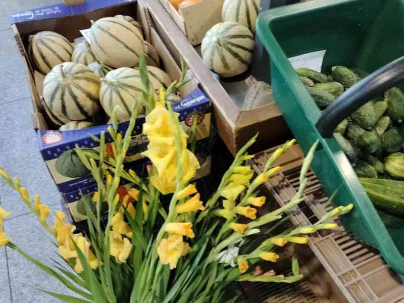 Un étalage de produits frais dans une épicerie, orange, concombre, melons rayés, fruits, photo gratuite