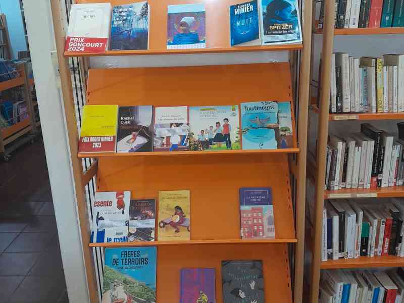 Etagères de livres à la médiathèque du CCFM de Maputo au Mozambique photo gratuite