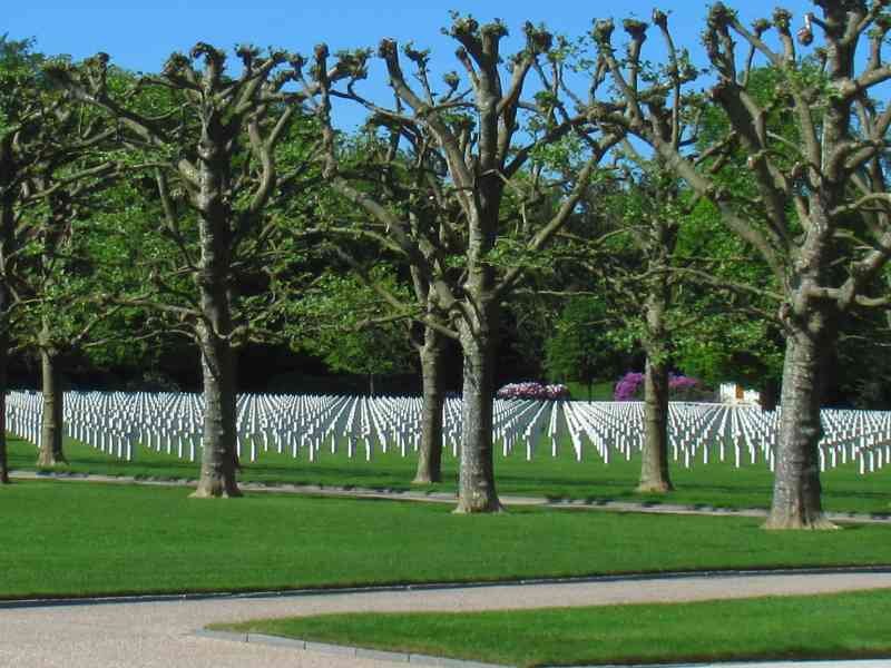 Les arbres du cimetière américain d'Epinal photo gratuite