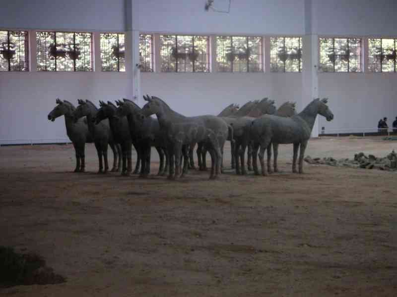 Les chevaux de l'armée de terre cuite de Xi'an