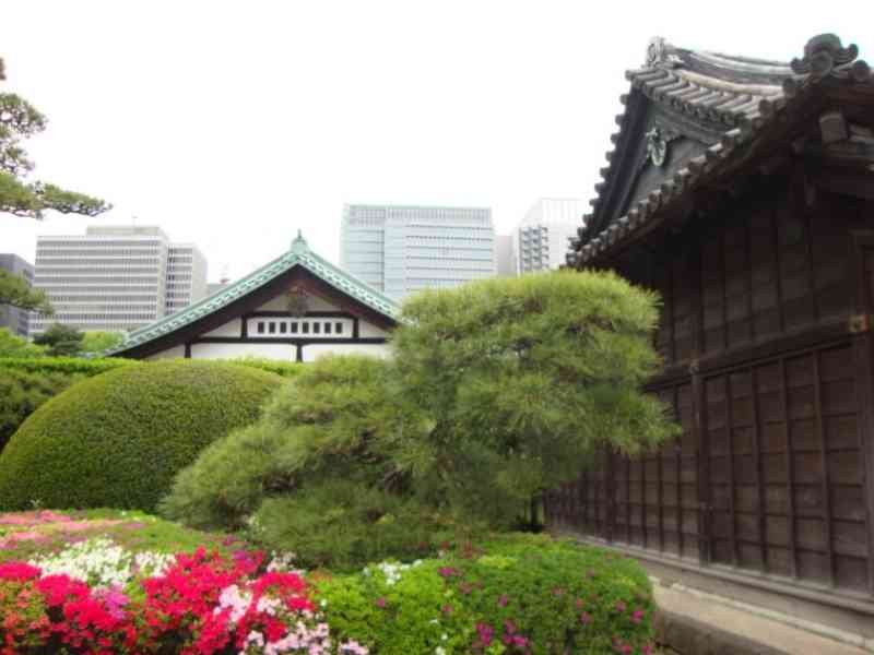 jardin traditionnel japonais photo gratuite