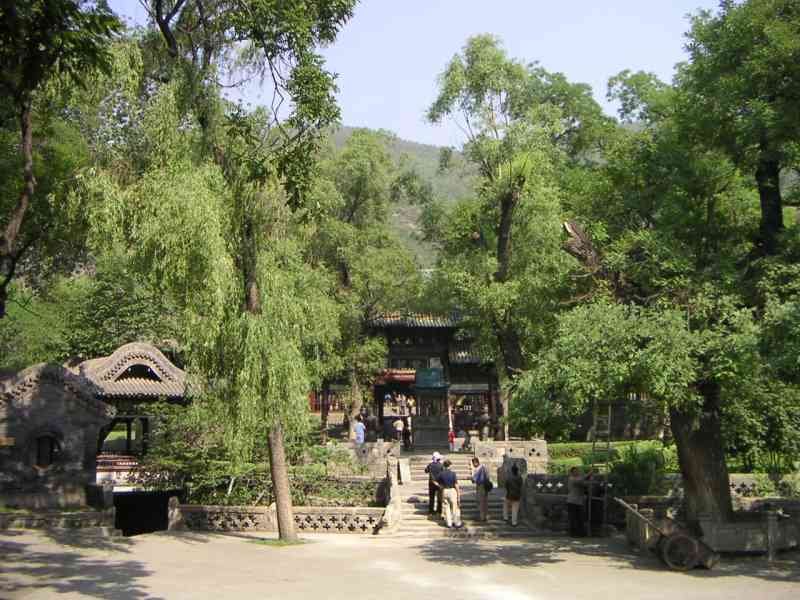 Arbres devant le temple chinois, visite des personnes au temple, Asie photo gratuite