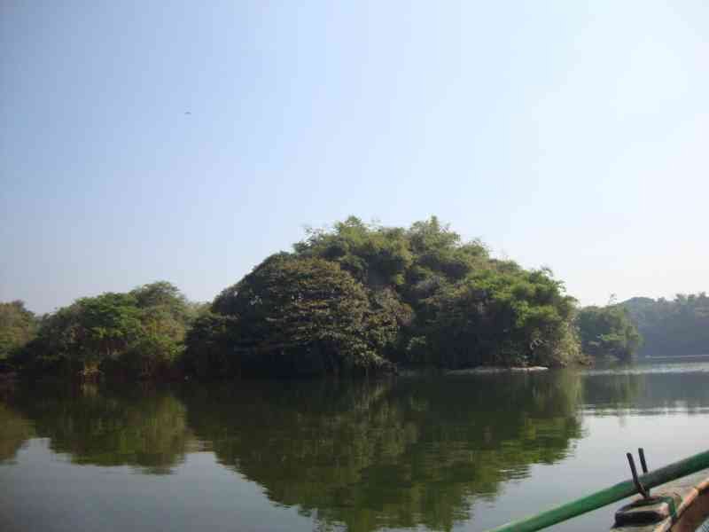 Une grande masse terrestre couverte d'arbres au milieu de l'eau, photo gratuite