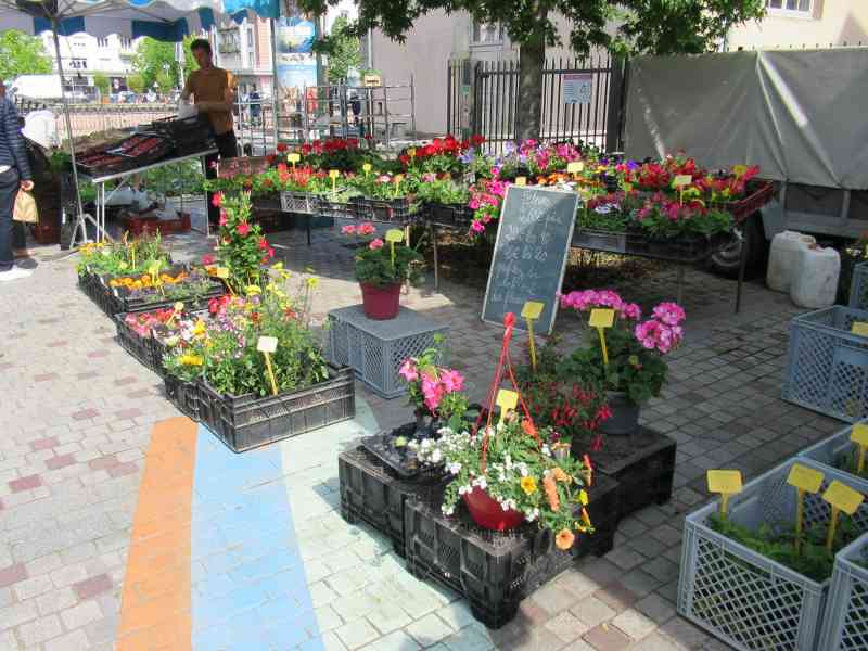 Vente de fleurs au marché