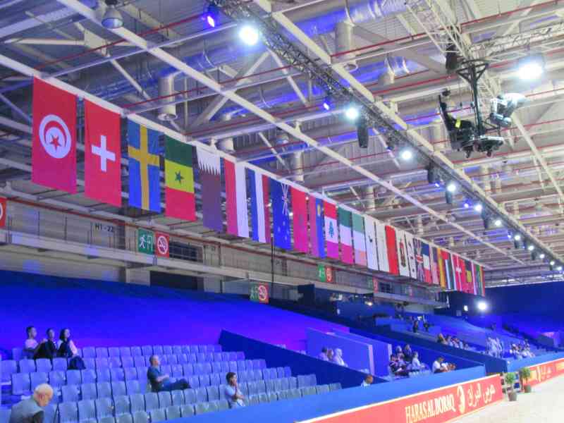 Différents drapeaux de pays suspendus lors d'un Salon du cheval - Verschiedene Länderflaggen hängen bei einer Pferdeshow