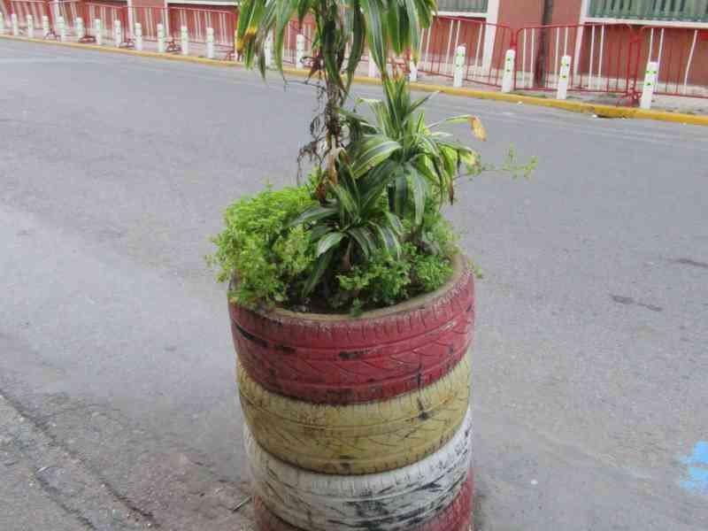 bac à fleurs de la rue