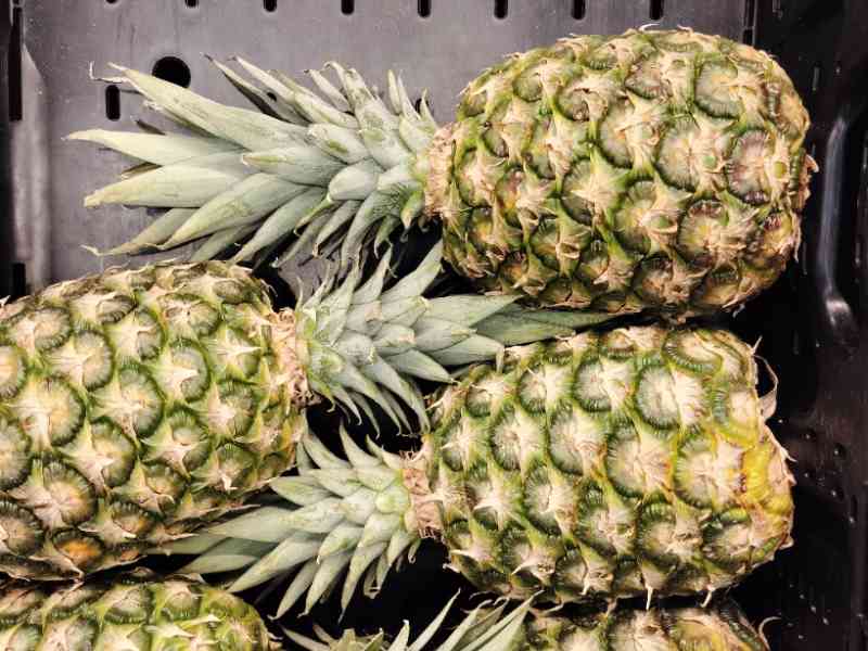 Epis d'ananas verts dans un panier