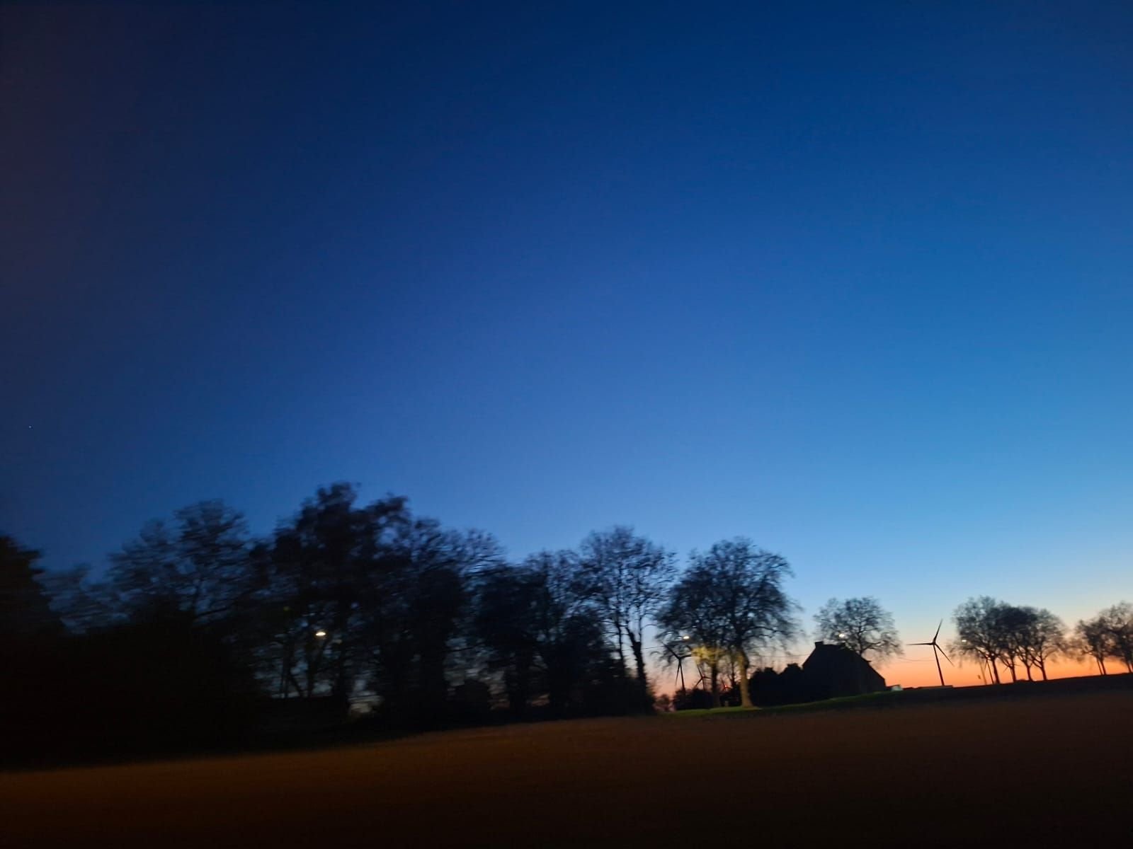Ciel nocturne, arbre, photo gratuite