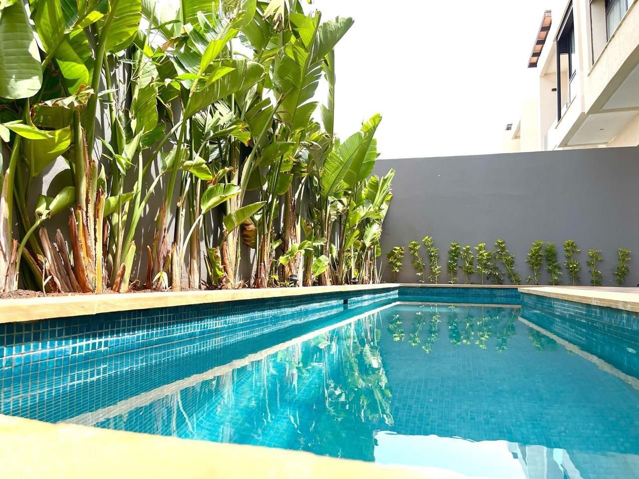 Piscine, photo gratuite